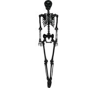 FIESTAS GUIRCA | Black Skeleton (90 cm) - Halloween Decoration for Parties and Celebrations - Ideal for Spooky Environments and Skull and Skeleton Themes - Black