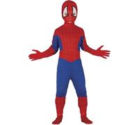 Fiestas Guirca Boys Spider Costume Set FG1182