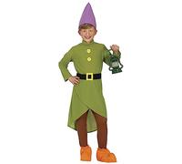 FIESTAS GUIRCA Fairy Tale Dwarf Boys Fancy Dress Costume - Forest Gnome Kids Fancy Dress Costumes Boys 7-9 years