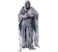 Fancy Dress Adult Wind Spirit Fiestas Guirca Grey L