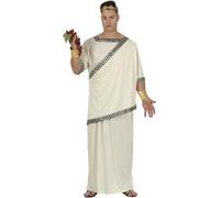 Fiestas Guirca Roman Toga Fancy Dress Costume Adult Man Size Large