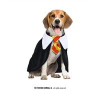 Fiestas Guirca Student of Magic Dog Pet Costume Size Large