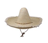 Fiestas Guirca Unisex Adult Mexican Straw Costume Hat FG901