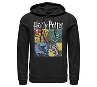 Fifth Sun Men's Harry Potter Hogwarts Houses Vintage Collage Pull Over Hoodie, Black, M
