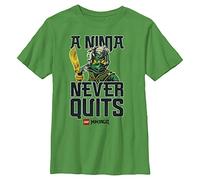 Fifth Sun Men's Lego Ninjago Save Lloyd's Mom Young Short Sleeve Tee Shirt T, Kelly Heather, XL