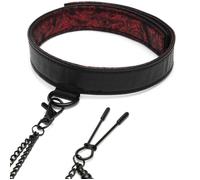 Fifty Shades of Grey Sweet Anticipation Collar &amp, Nipple Clamps Set