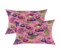 Fig Throw Pillow Covers Set of 2, Botanical Vintage Leaf Branch Summer Peach Soft Velvet Washable Cover Decorative Pillows for Living Room Apartment Bed Sofa Decor 20x12 Inch