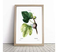 Fig Tree by Pierre-Joseph Redoute Framed Wall Art Picture Print - Canvas Painting - Modern Home Décor Poster - Ready to Hang for Living Room Bedroom Kitchen - Oak A3 (36 x 48 cm)
