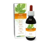 Fig Tree (Ficus carica) Alcohol-Free Bud Extract from Fresh Buds Naturalma - Liquid Drops 120 ml - Food Supplement - Vegan