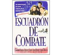 Fighter Squadron (Region 2)