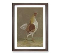 Fighting Cock by John Frederick Herring Framed Wall Art Print A2 Walnut