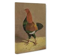 Fighting Cock Vol.1 By John Frederick Herring Canvas Print | Gallery Wrapped 30mm Frame Wall Art | 30x20 inches | Ready to Hang | Classic Picture | Living Room Bedroom Lounge Office