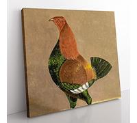 Fighting Cock Vol.1 by John Frederick Herring Classic Painting Canvas Wall Art Print Ready to Hang, Framed Picture for Living Room Bedroom Home Office Décor, 35x35 cm (14x14 Inch)