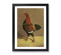 Fighting Cock Vol.1 By John Frederick Herring Classic Painting Framed Wall Art Print, Ready to Hang Picture for Living Room Bedroom Home Office Décor, Black A3 (34 x 46 cm)
