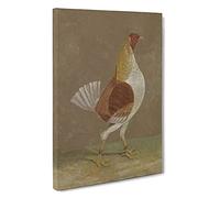 Fighting Cock Vol.2 By John Frederick Herring Canvas Print for Living Room Bedroom Home Office Décor, Wall Art Picture Ready to Hang, 30 x 20 Inch (76 x 50 cm)