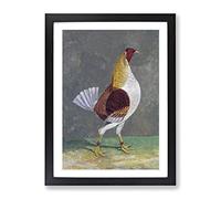 Fighting Cock Vol.2 By John Frederick Herring Classic Painting Framed Wall Art Print, Ready to Hang Picture for Living Room Bedroom Home Office Décor, Black A4 (34 x 25 cm)