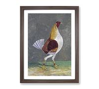 Fighting Cock Vol.2 By John Frederick Herring Classic Painting Framed Wall Art Print, Ready to Hang Picture for Living Room Bedroom Home Office Décor, Walnut A3 (34 x 46 cm)