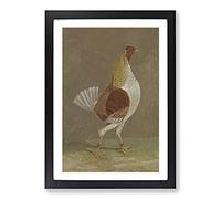 Fighting Cock Vol.2 by John Frederick Herring Framed Print | A2 Black Framed Wall Art | Ready to Hang | Modern Nature Picture | Living Room Bedroom Lounge Office