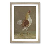 Fighting Cock Vol.2 by John Frederick Herring Framed Print | A2 Oak Framed Wall Art | Ready to Hang | Modern Nature Picture | Living Room Bedroom Lounge Office
