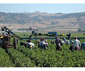 Fighting Modern Slavery