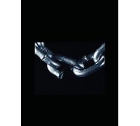 "Fighting Words" (Street Poetry): "The Rap & Scrap Book"