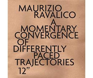 Fiium Shaarrk, Maurizio Ravalico, Collocutor & Enjoy - A Momentary Convergence Of Differently Paced Trajectories
