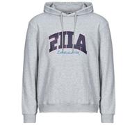 Fila Sweatshirt LANDEN in Grey EU S