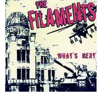 Filaments - What's Next