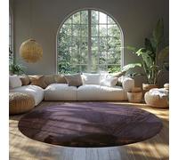 File Caspar David Friedrich-A Walk at Dusk Round Rugs Moon Landscape Romantic Soft Circle Carpet for Bedroom Cafe Dining Room Floor Decor 244cm(Round)