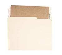 File Folder, 1/3 Cut-Out A4 Format Folder, Pack of 100 Storage System for Invoice Archiving, Teaching Material, Management, Household, School, Office, Organisation