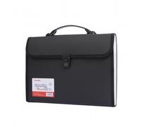 File Folder A4 Portable Folder Storage Bag 13 Pocket Test Paper File Office Document Organization(Black)