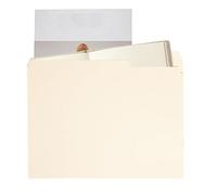 File Folder for Documents, 1/3 Cut-Out A4 Format Folder, Pack of 100 for Document Organisation, Home, School, Office, Contract Management