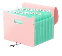 File Organizer 12 Pocket Expandable Folder Portable Monthly Paper Bill Tax Receipt for Home Office(Pink)