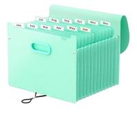 File Organizer 12 Pocket Expandable Folder Portable Monthly Paper Bill Tax Receipt for Office, Business Trip, Home(Light Green)