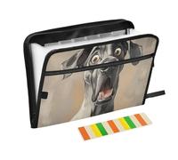 File Organizer 13 Pockets A4 Letter Size with Zipper Closure for Expandable Hanging File Folders Cartoon Funny Great Dane Dogs Fear para guardar