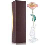 FILFEEL 24K Gold Rose, Dipped Flower Gift for Her Made of Fresh Rose, Last Forever Mother's/Thanksgiving/Christmas/Valentine's/Birthdays Party/Graduations/Weddings (White + Pink)