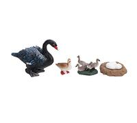 FILFEEL 4-Stage Duck Life Cycle Model Educational Toy for Kids - Interactive Growth Cycle Display (B)