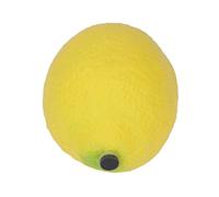 FILFEEL Colorful Fruit Shaker Maraca Set for Babies 6+ Months - Safe Plastic Percussion Toys with Lifelike Fruits (#2)