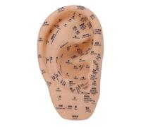 FILFEEL Ear Acupuncture Point Model 30x17cm PVC with Clear Acupoints and