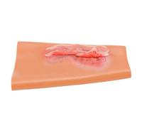 FILFEEL Silicone Arm Trauma Model with Skin Texture and Tactile Response for Wound Care Training, Stretchable Practice Sleeve for Manikin Limbs, Anatomically Accurate Penetrating