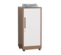 Filing Cabinet for Home Office File Cabinet with Lock Slim File Cabinet Vertical Filing Cabinet Single Door Locking File Cabinet Storage Box for Home Office File Cabinet