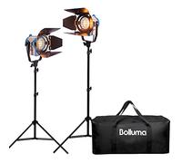 Film Spotlight Lighting Kit with Light Stand and Storage Bag, 300W Fresnel Tungsten Spot Focus Light Fill Light for Studio YouTube Product Photography Microfilm Shooting Portrait Photography, 2 Sets