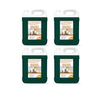FILO Bacdet Washing Up Liquid High Foam 4x5 L - Potent Dishwasher Pods Cleaner for Sparkling Clean Dishes, Pans, Pots, and Windows - Grease & Stain Remover Formula - Gentle on Hands.
