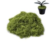 FILOEEX Artificial Moss,Fake Moss,Muticolour Faux Moss,100g/50g Decorative Fake Bulk Moss,Green Faux Moss for Patio,Home,Garden,Decoration Realistic Looking Garden Synthetic Turf (Light Green-50g)