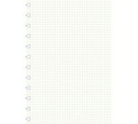 Filofax A4 Squared Note, White