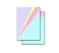 Filofax A5 Classic Coloured Ruled Notepaper x 2