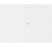 Filofax Pocket Quadrille notepaper Refill, White