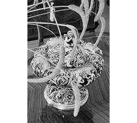 Filosofia Grega: O novo escravo: Guia