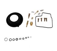 Filteilect Carburetor Repair Kit Compatible with for Shadow 1100 VT1100C Motorcycle Models 1997-2007 - Rebuild Set with Gaskets, Seals and Jets Compatible with for Engine