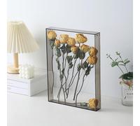 Filteilect Creative Acrylic Photo Frame with Hollow Design for Dried Flowers and Shells Display, 26x31cm DIY Decor in Blue/Green/Transparent/Gray/Orange(Transparent)